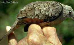 Lee’s Two Word Tuesday –&nbsp;8/23/16