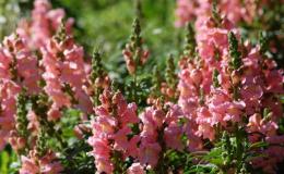 Sunday Inspiration – A New&nbsp;Day