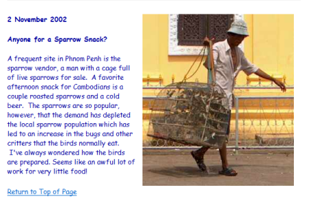 Anyone for a Sparrow Snack?