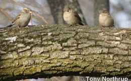 Lee’s Three Word Wednesday –&nbsp;8/2/17