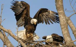 Lee’s Two Word Tuesday –&nbsp;12/27/16