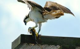 Lee’s Seven Word Sunday –&nbsp;3/12/17