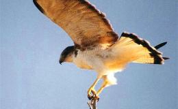 Lee’s One Word Monday –&nbsp;12/26/16