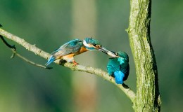 Lee’s One Word Monday –&nbsp;8/1/16