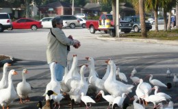 Lee’s Six Word Saturday –&nbsp;12/17/16