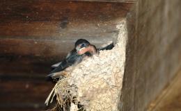 Lee’s Four Word Thursday –&nbsp;3/9/17