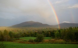 INCREASING NUMBERS WANT EQUAL TIME FOR CREATION –&nbsp;Repost