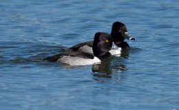 Looking Back – Happy One Year Anniversary! –&nbsp;Repost