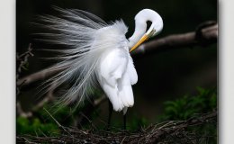 Lee’s Three Word Wednesday –&nbsp;9/28/16