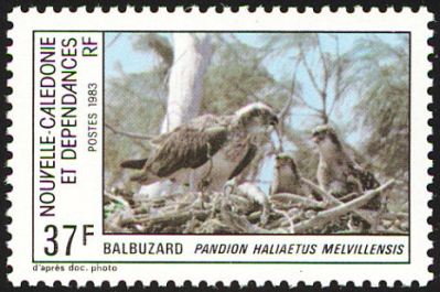 Eastern Osprey Stamp-Australia