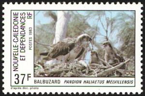 Eastern Osprey Stamp-Australia