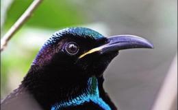 Lee’s Three Word Wednesday –&nbsp;7/19/17