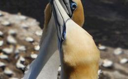 Lee’s Six Word Saturday –&nbsp;11/19/16