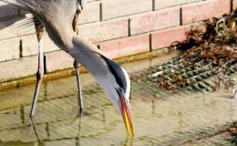 Lee’s Three Word Wednesday –&nbsp;6/29/16