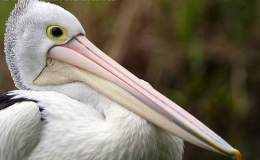 Lee’s Three Word Wednesday –&nbsp;6/21/17