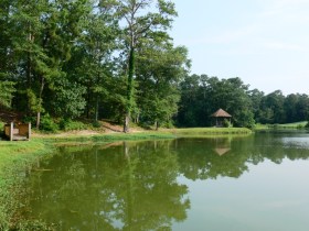 Duck Lake - Robbins AFB, GA