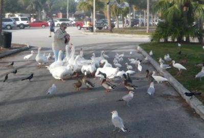 Me Feeding The Beggars!