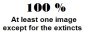 100 Percent of Images-Extinct