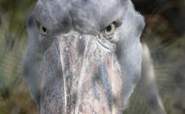 Lee’s Four Word Thursday –&nbsp;6/22/17