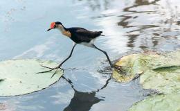 EGGS-ELLENT EXAMPLES OF&nbsp;DESIGN