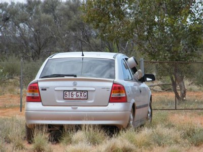 Ian using car as blind