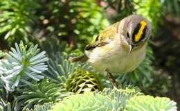 Sunday Inspiration – Seven Small&nbsp;Families