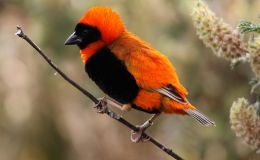 Lee’s Six Word Saturday –&nbsp;8/27/16