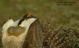 Lee’s Three Word Wednesday –&nbsp;3/2/16