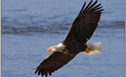 Lee’s Six-Word Saturday –&nbsp;1/30/16