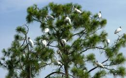 Lee’s Four Word Thursday –&nbsp;6/30/16