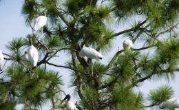 Lee’s Four Word Thursday –&nbsp;7/27/17