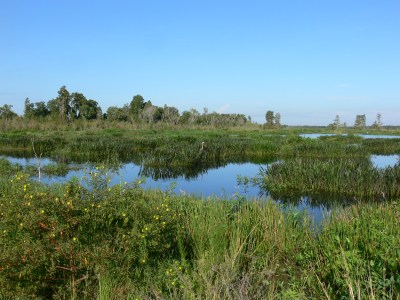 Looking out across part of Circle B  by Lee