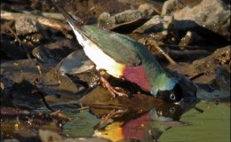 Lee’s Four Word Thursday –&nbsp;7/13/17