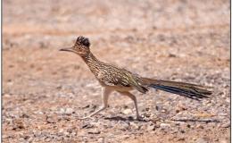 Lee’s Two Word Tuesday –&nbsp;4/5/16