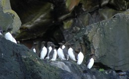 Lee’s Seven Word Sunday –&nbsp;5/22/16