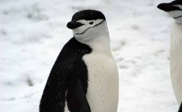 Lee’s Three Word Wednesday –&nbsp;2/3/16