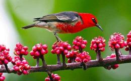 Lee’s Two Word Tuesday –&nbsp;5/31/16