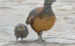 Lee’s Two Word Tuesday –&nbsp;3/7/17