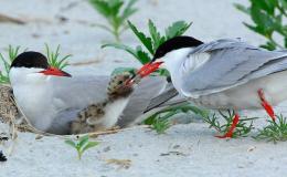 Lee’s Three Word Wednesday –&nbsp;6/15/15