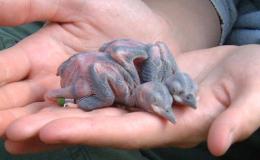 Lee’s Seven Word Sunday –&nbsp;12/25/16