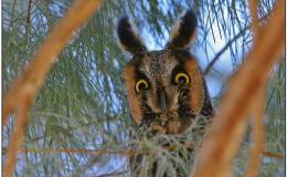 Lee’s Four Word Thursday –&nbsp;6/2/16