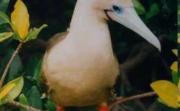 Lee’s Four Word Thursday –&nbsp;6/9/16