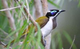 Lee’s Three Word Wednesday –&nbsp;9/7/16