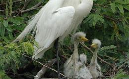 I.O.C. Version 6.2 Has Come&nbsp;Out