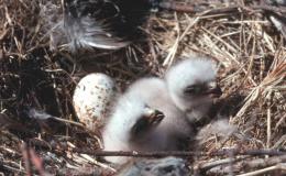 Where Are You From? Part&nbsp;II