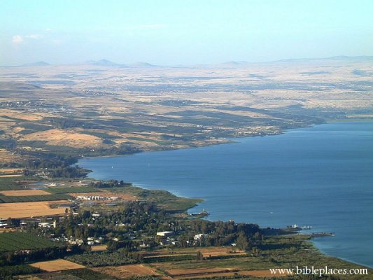 Galilee Shoreline From Above (BiblePlaces.com)