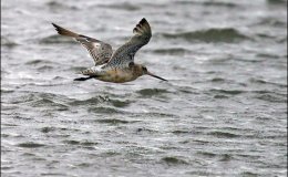 Creation Moment’s – Great Travelers Have Great Stories To&nbsp;Tell