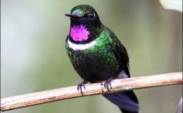 Lee’s Six Word Saturday –&nbsp;12/24/16