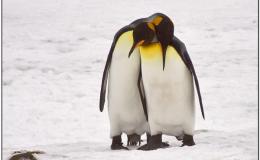 Matthew Chapter A Day –&nbsp;22