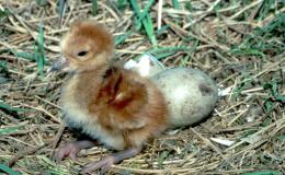 Lee’s One Word Monday –&nbsp;9/26/16